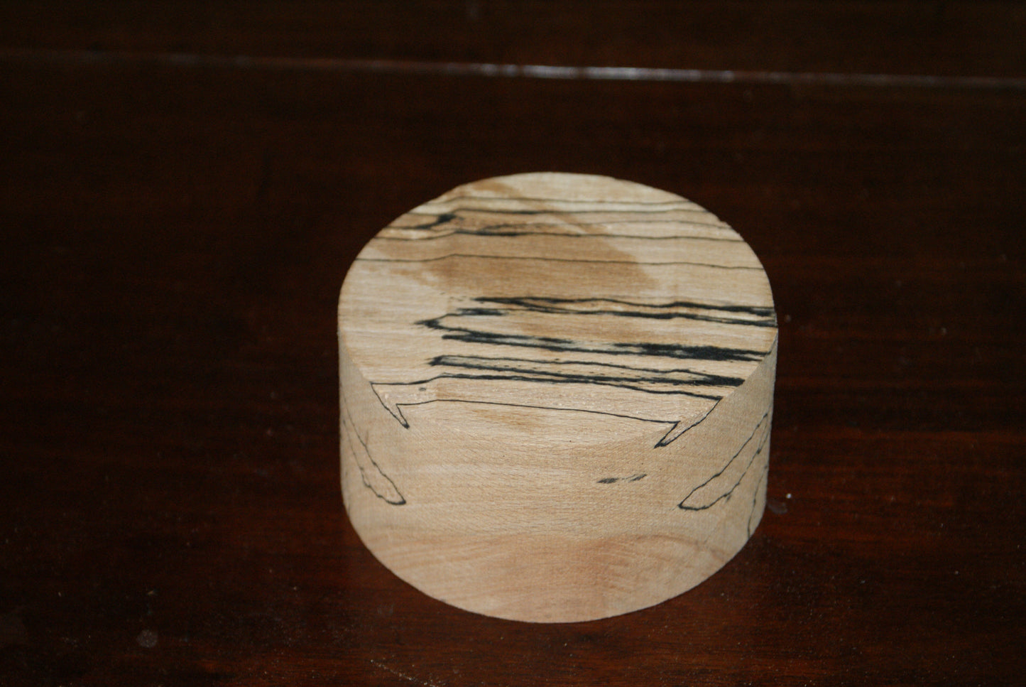 A Grade 4 x 2" spalted beech wood turning blank (005)