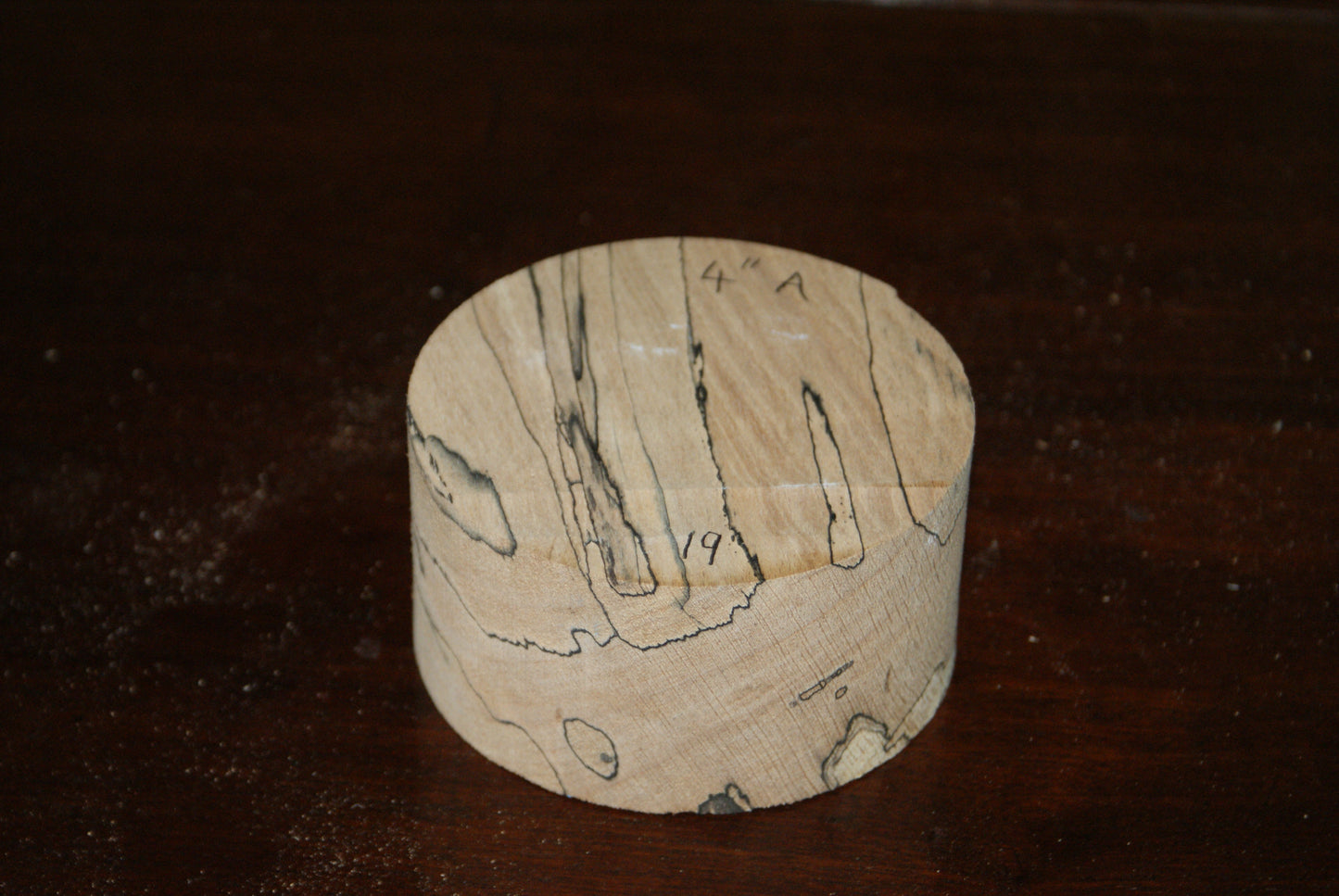 A Grade 4 x 2" spalted beech wood turning blank (019)