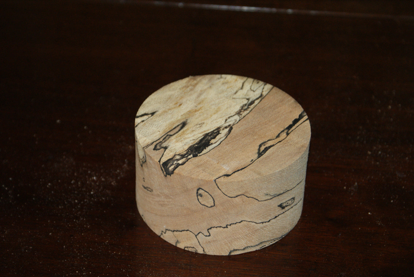 A Grade 4 x 2" spalted beech wood turning blank (019)
