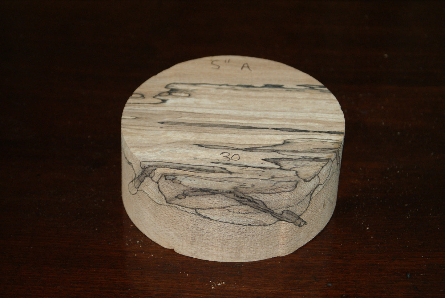 A Grade 5 x 2" spalted beech wood turning blank (030)