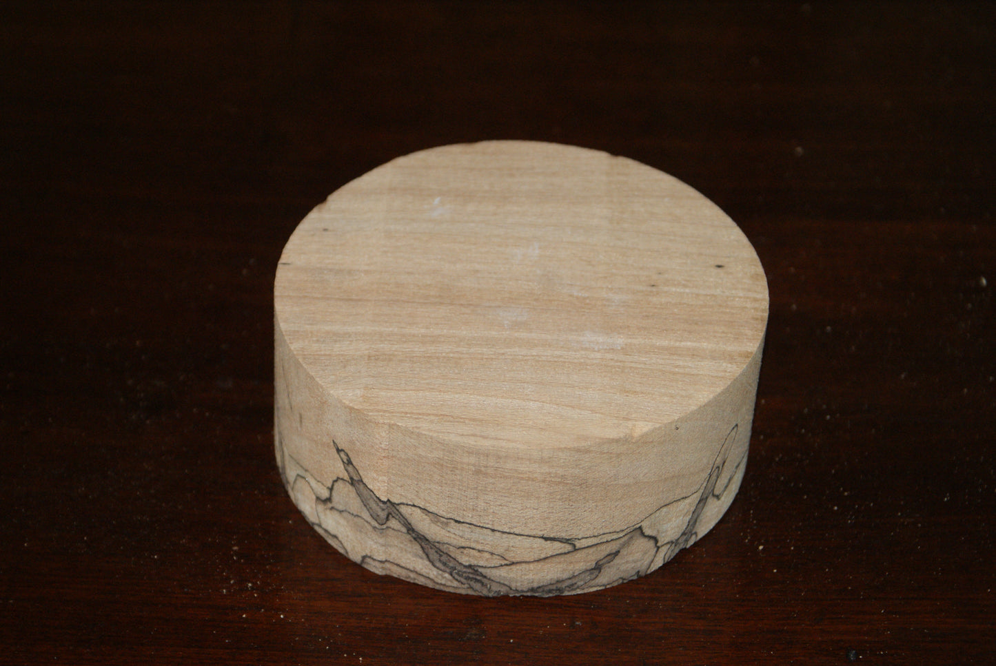 A Grade 5 x 2" spalted beech wood turning blank (030)