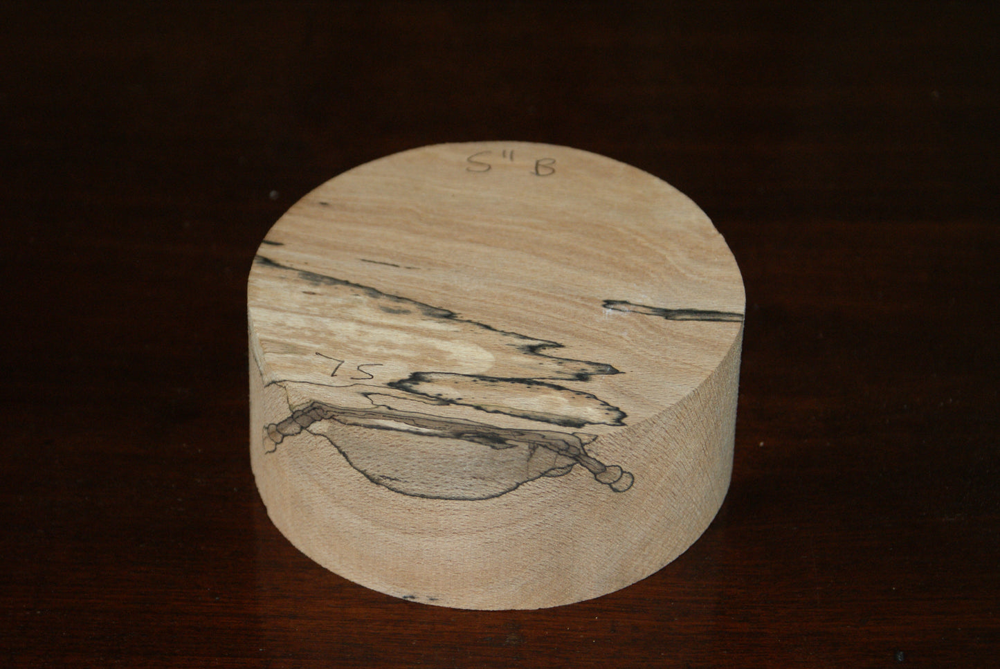 B Grade 5 x 2" spalted beech wood turning blank (075)