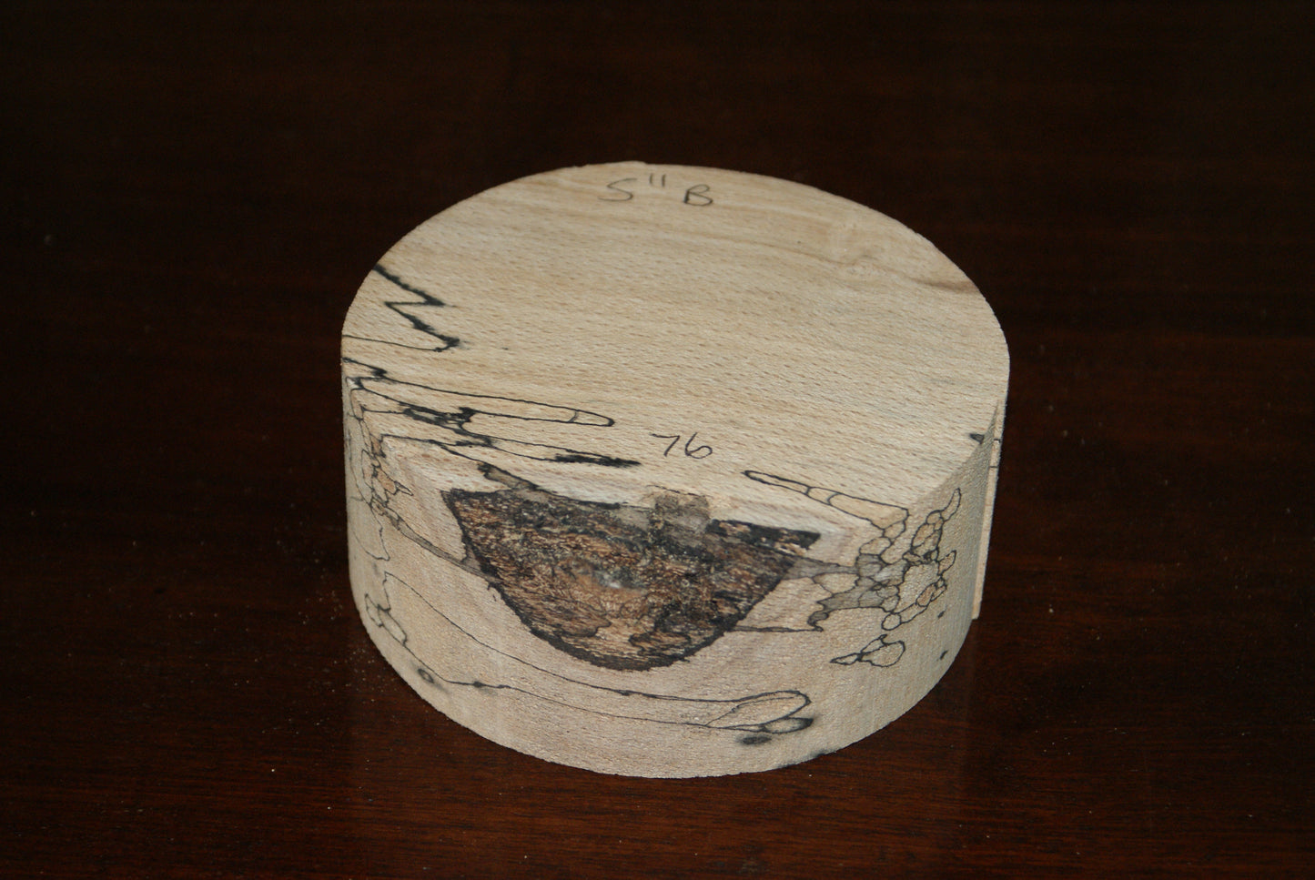 B Grade 5 x 2" spalted beech wood turning blank (076)