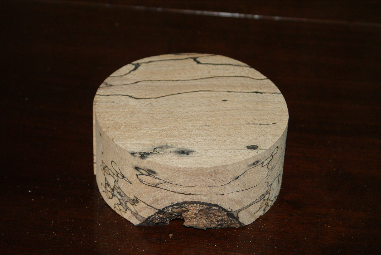 B Grade 5 x 2" spalted beech wood turning blank (076)