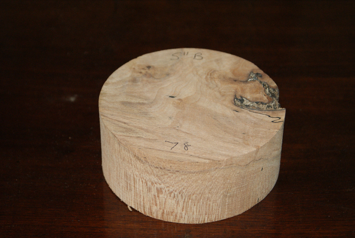 B Grade 5 x 2" spalted beech wood turning blank (078)
