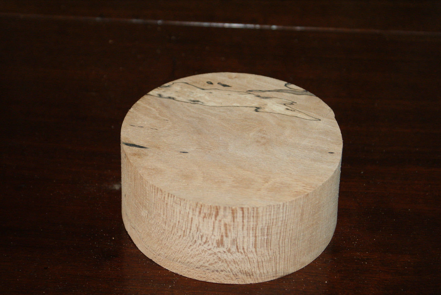 B Grade 5 x 2" spalted beech wood turning blank (078)