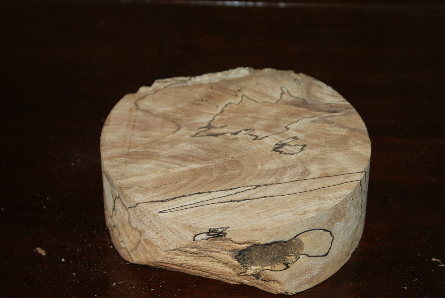 B Grade 6 x 2" spalted beech wood turning blank (082)