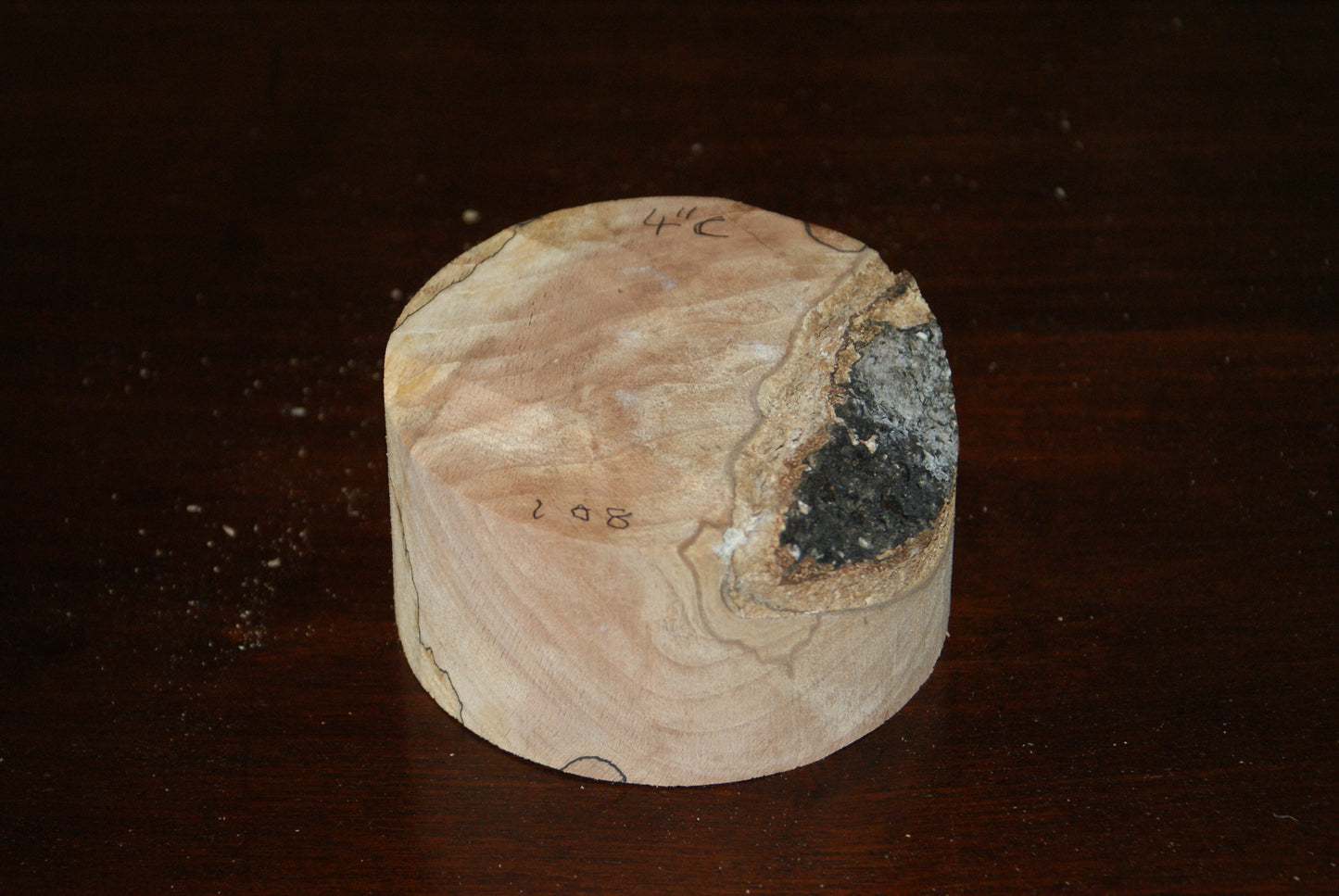 C Grade 4 x 2" spalted beech wood turning blank (108)