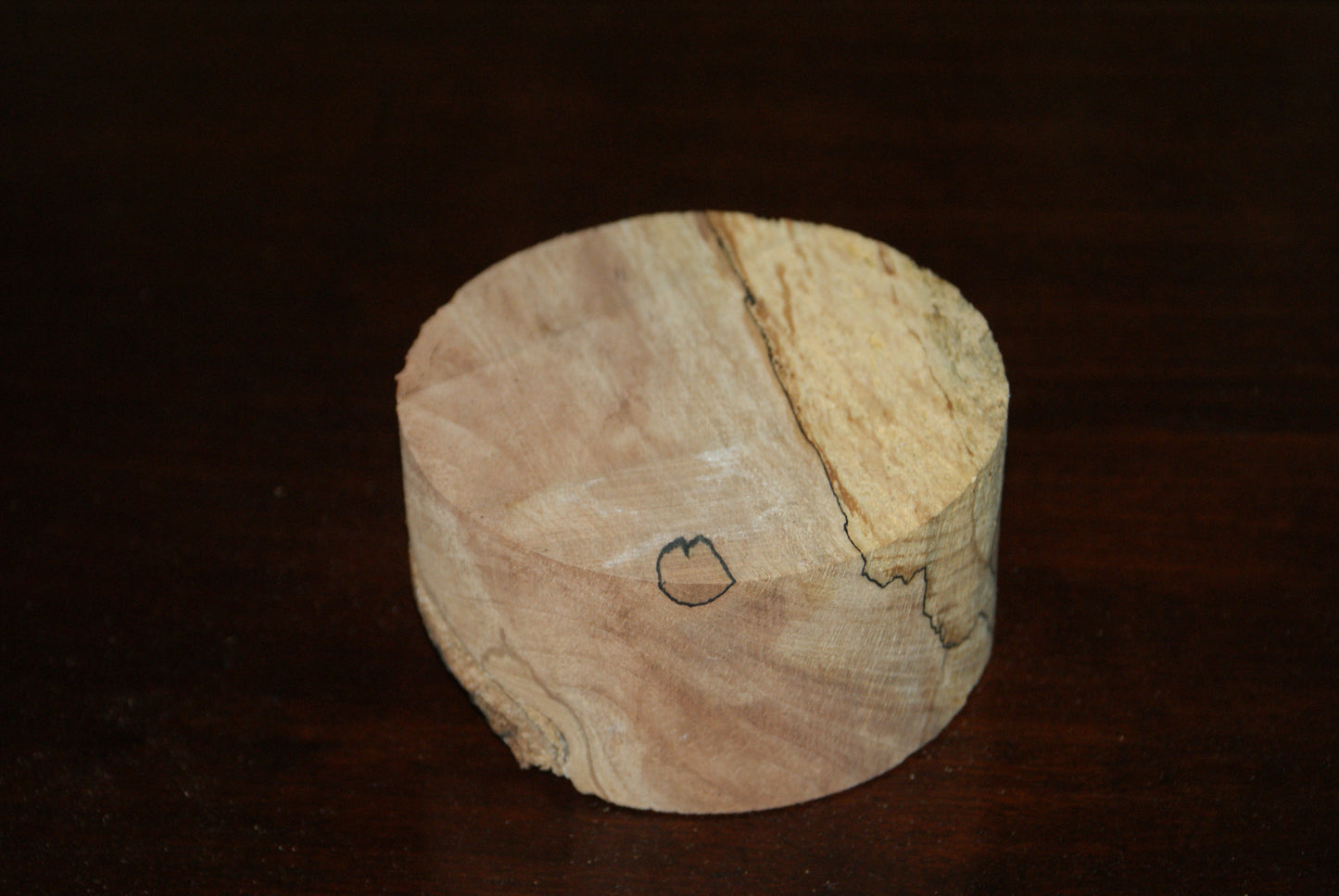 C Grade 4 x 2" spalted beech wood turning blank (108)
