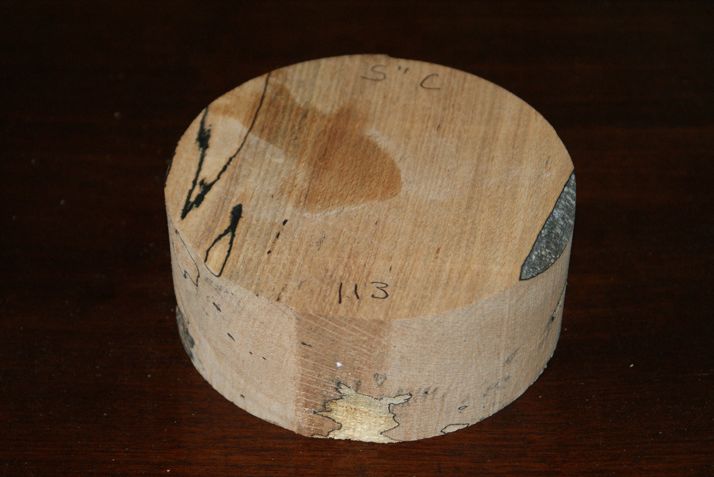 C Grade 5 x 2" spalted beech wood turning blank (113)