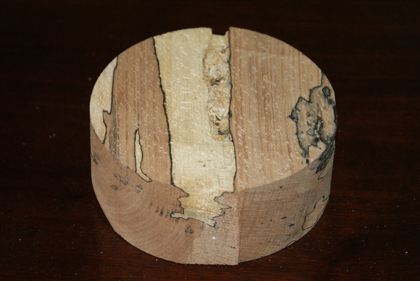 C Grade 5 x 2" spalted beech wood turning blank (113)