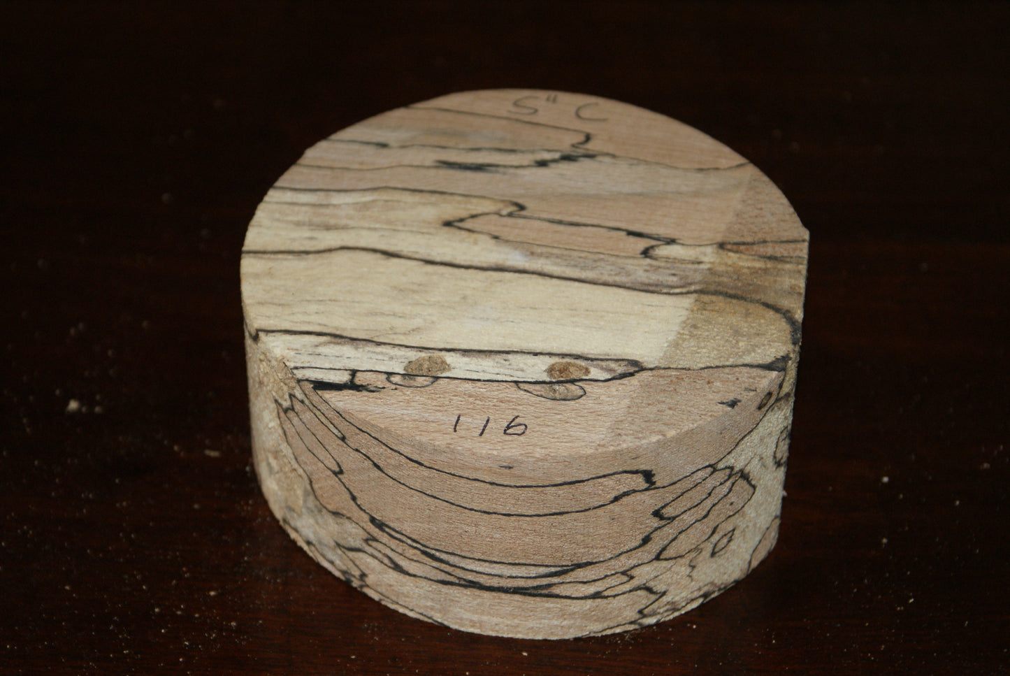 C Grade 5 x 2" spalted beech wood turning blank (116)