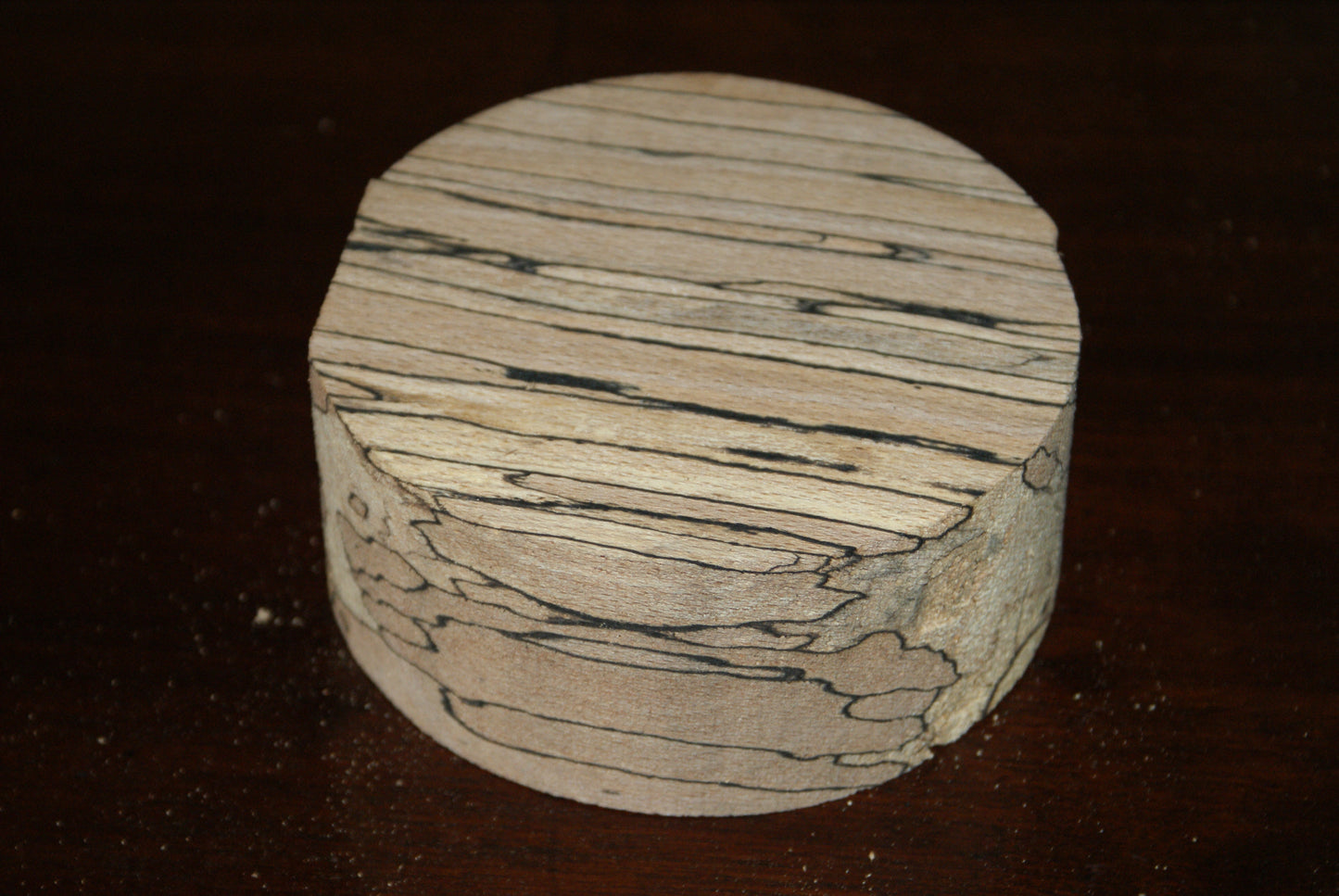 C Grade 5 x 2" spalted beech wood turning blank (116)