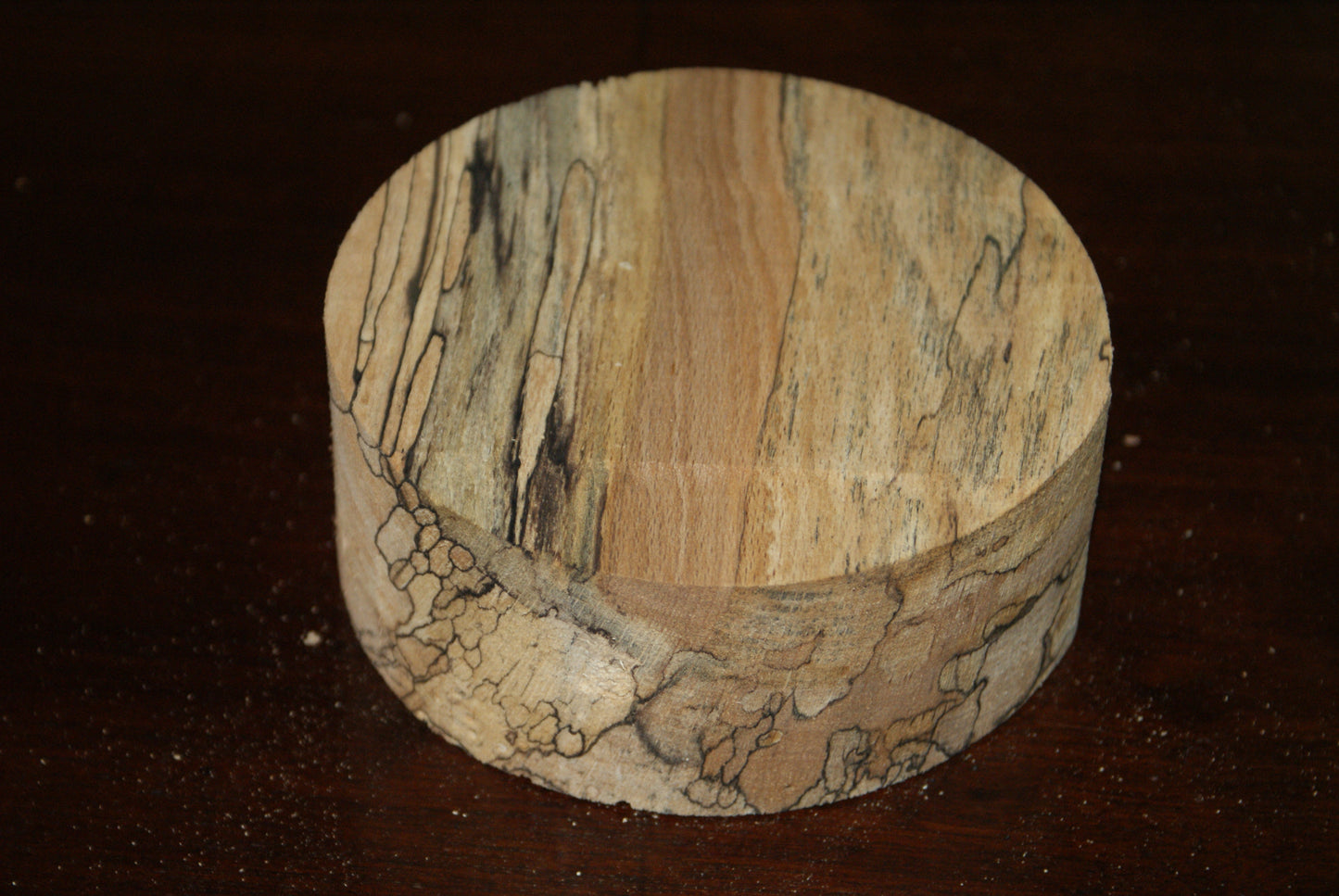 C Grade 5 x 2" spalted beech wood turning blank (117)