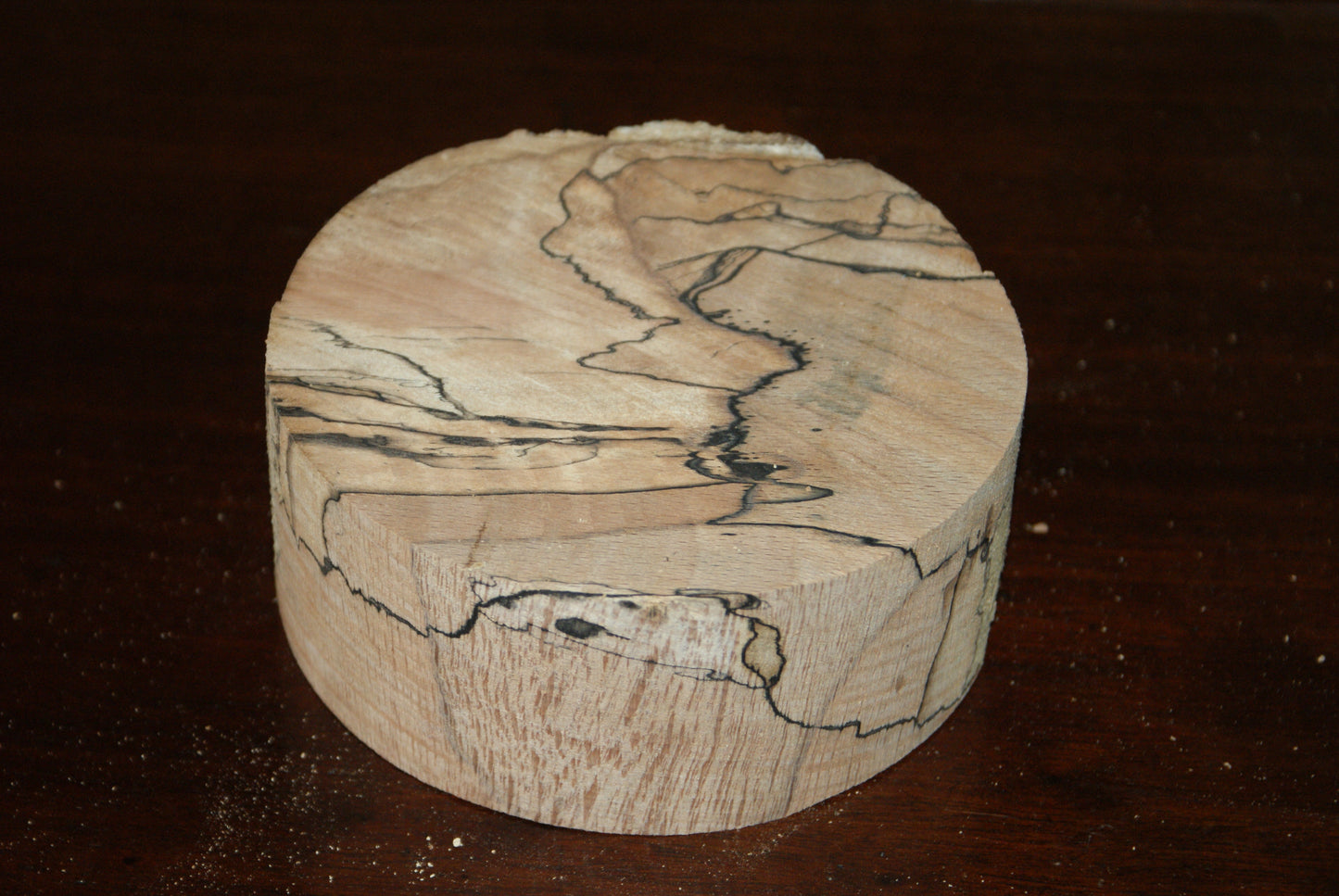C Grade 5 x 2" spalted beech wood turning blank (118)