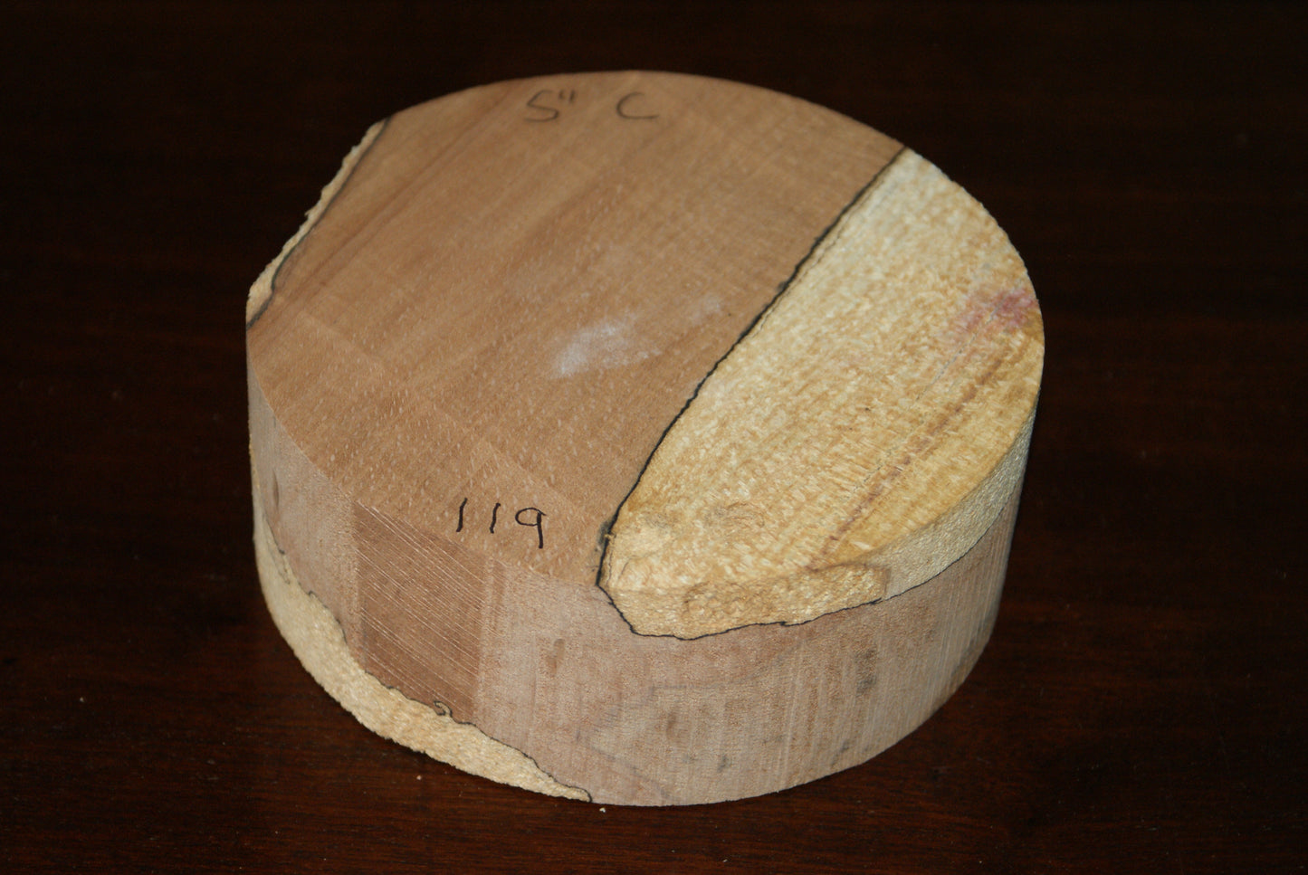 C Grade 5 x 2" spalted beech wood turning blank (119)