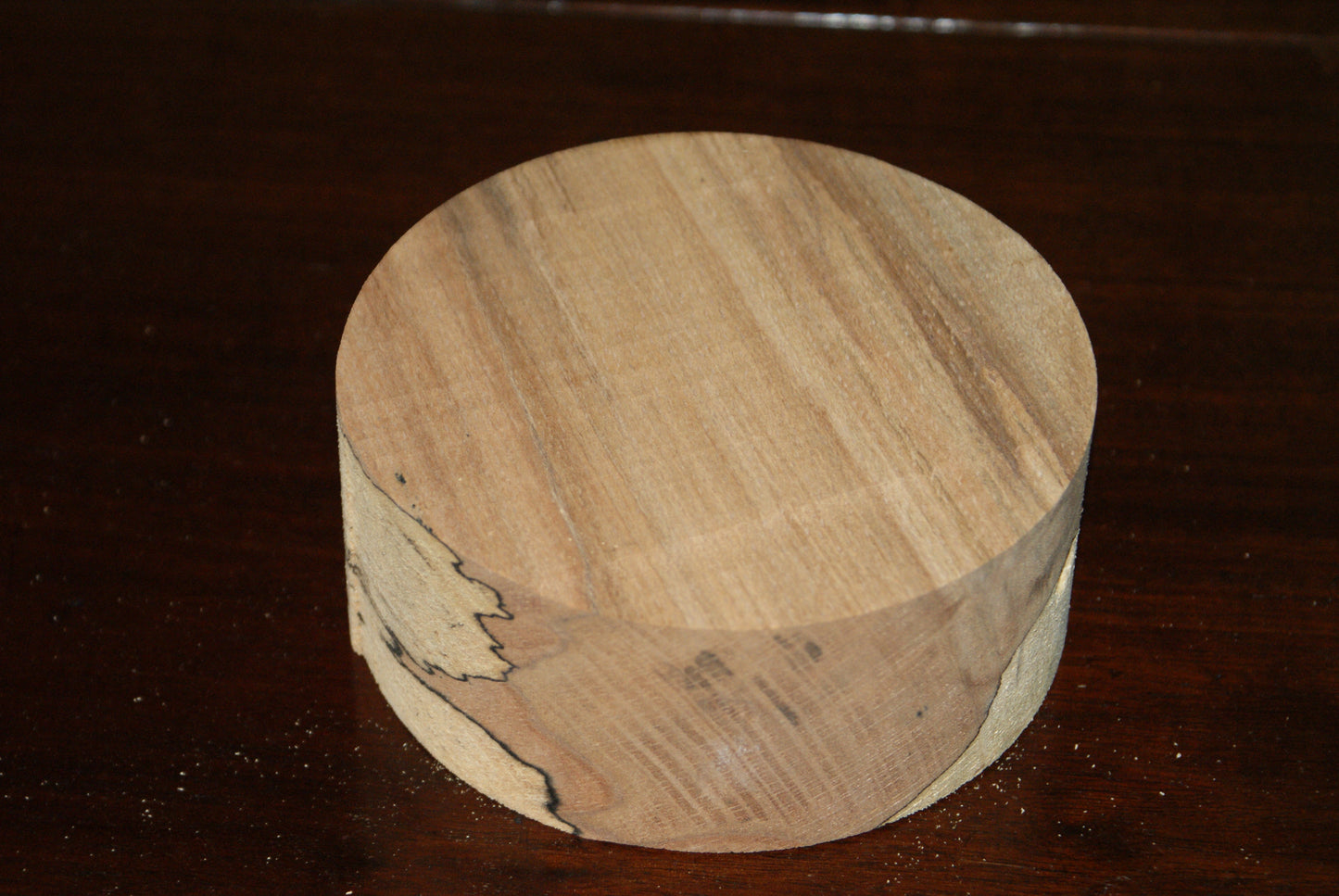 C Grade 5 x 2" spalted beech wood turning blank (120)