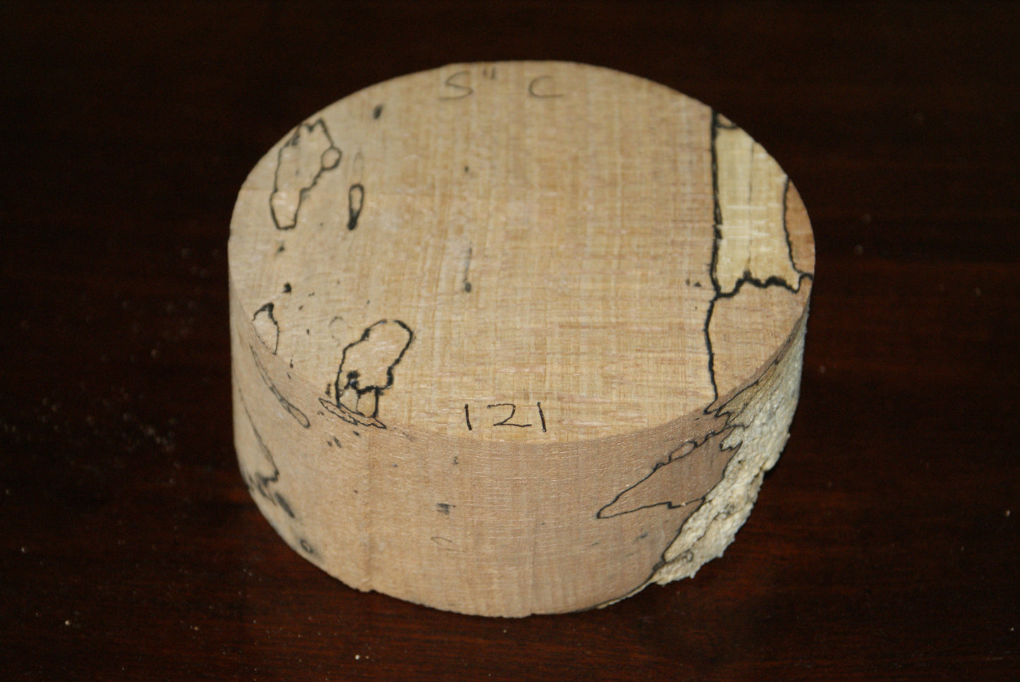 C Grade 5 x 2" spalted beech wood turning blank (121)