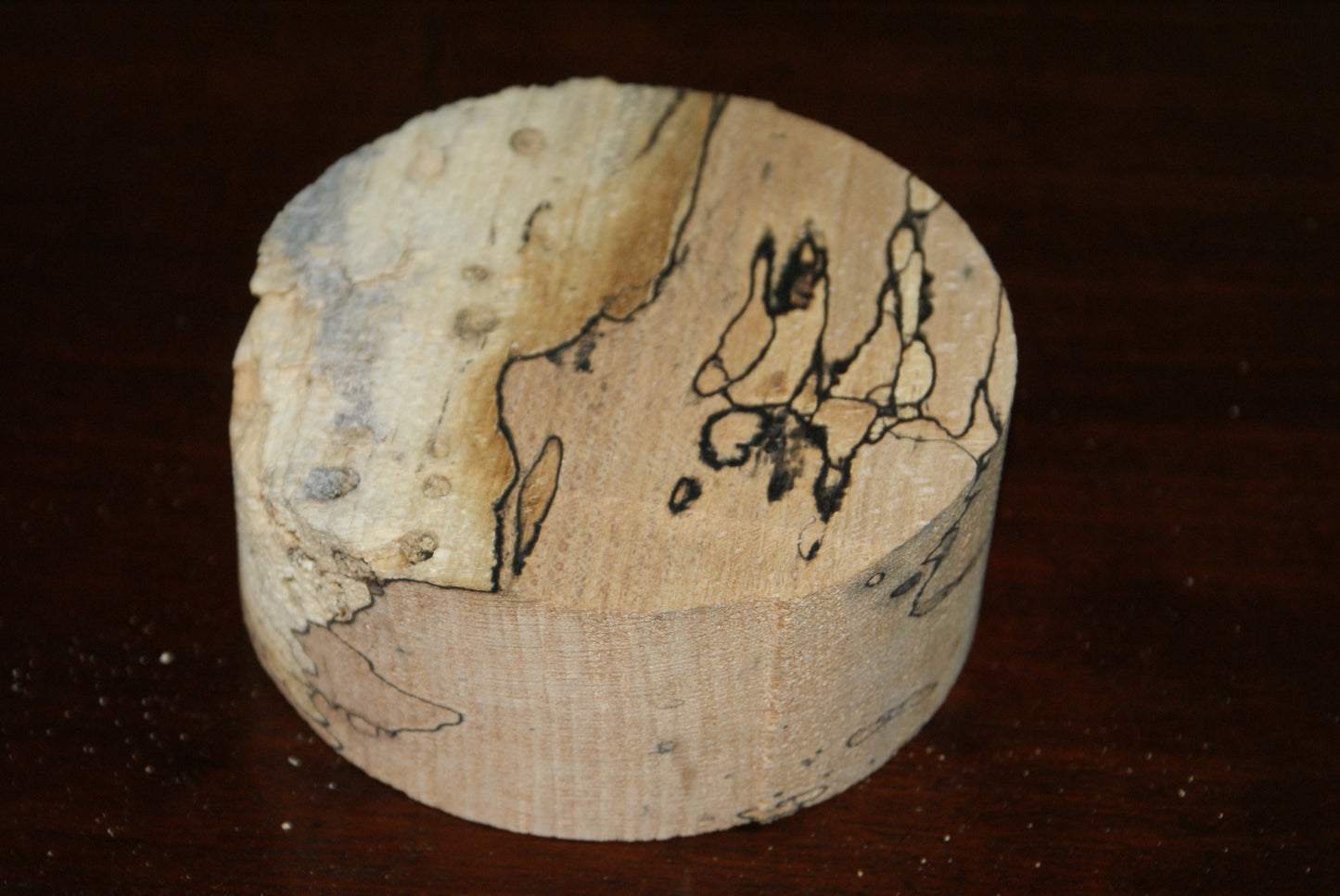 C Grade 5 x 2" spalted beech wood turning blank (121)
