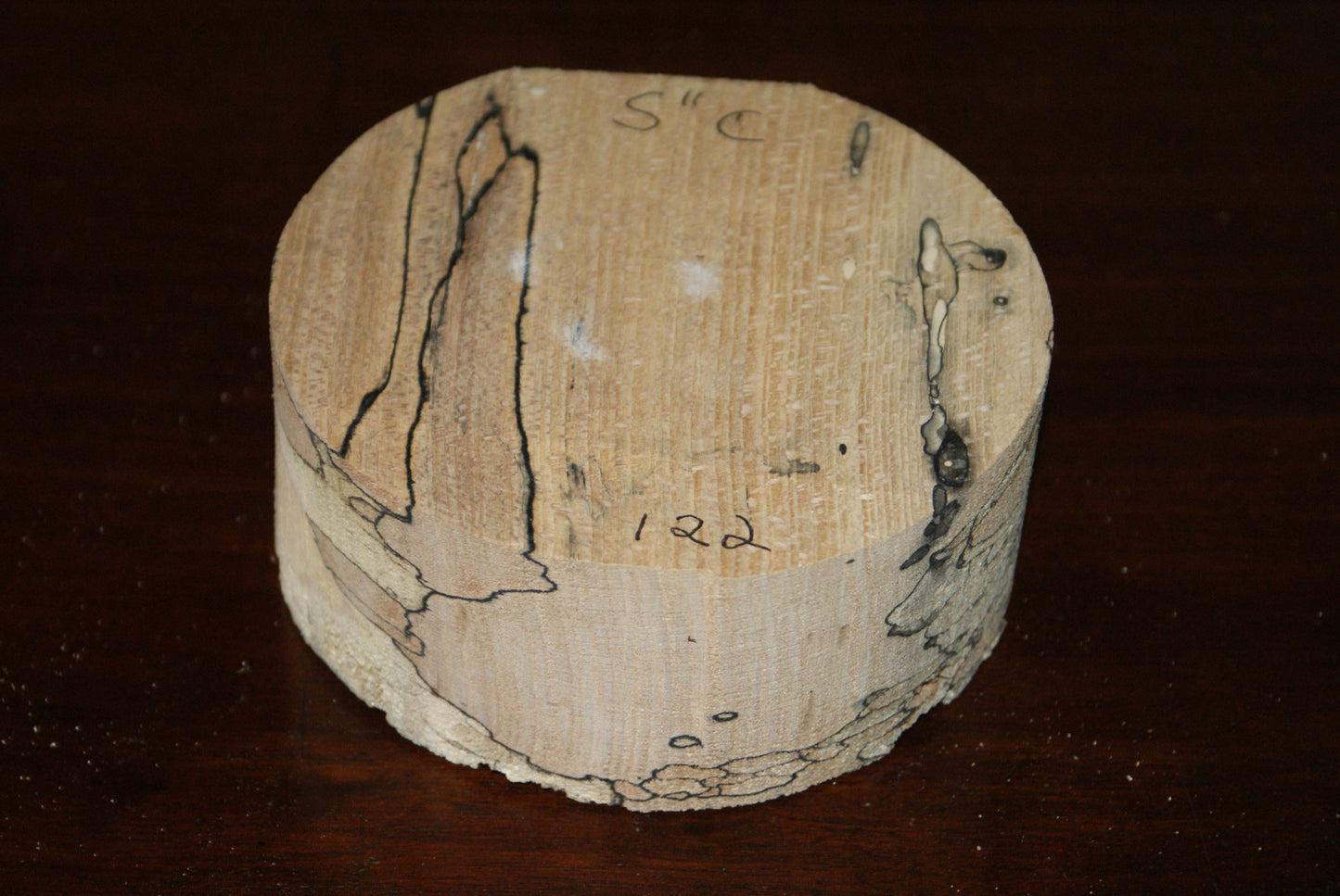 C Grade 5 x 2" spalted beech wood turning blank (122)