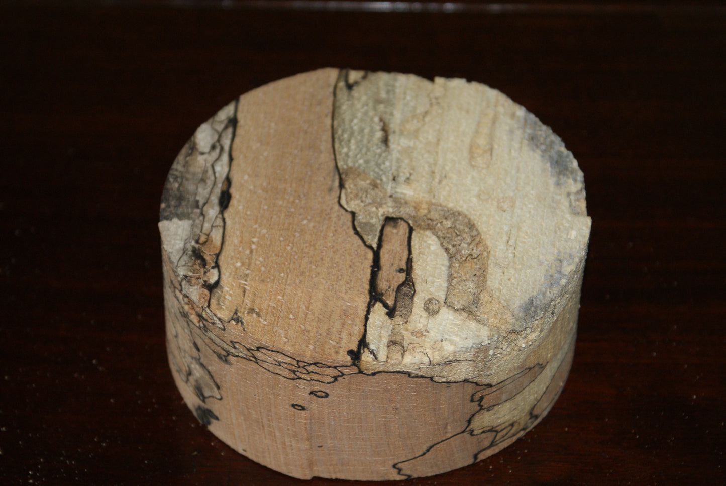 C Grade 5 x 2" spalted beech wood turning blank (122)