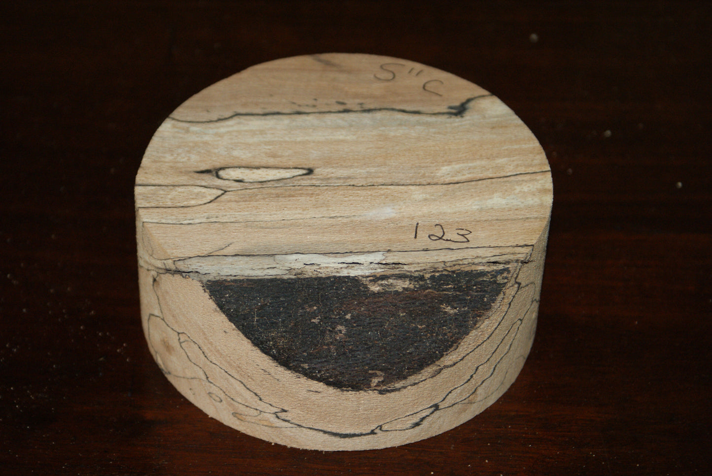 C Grade 5 x 2" spalted beech wood turning blank (123)