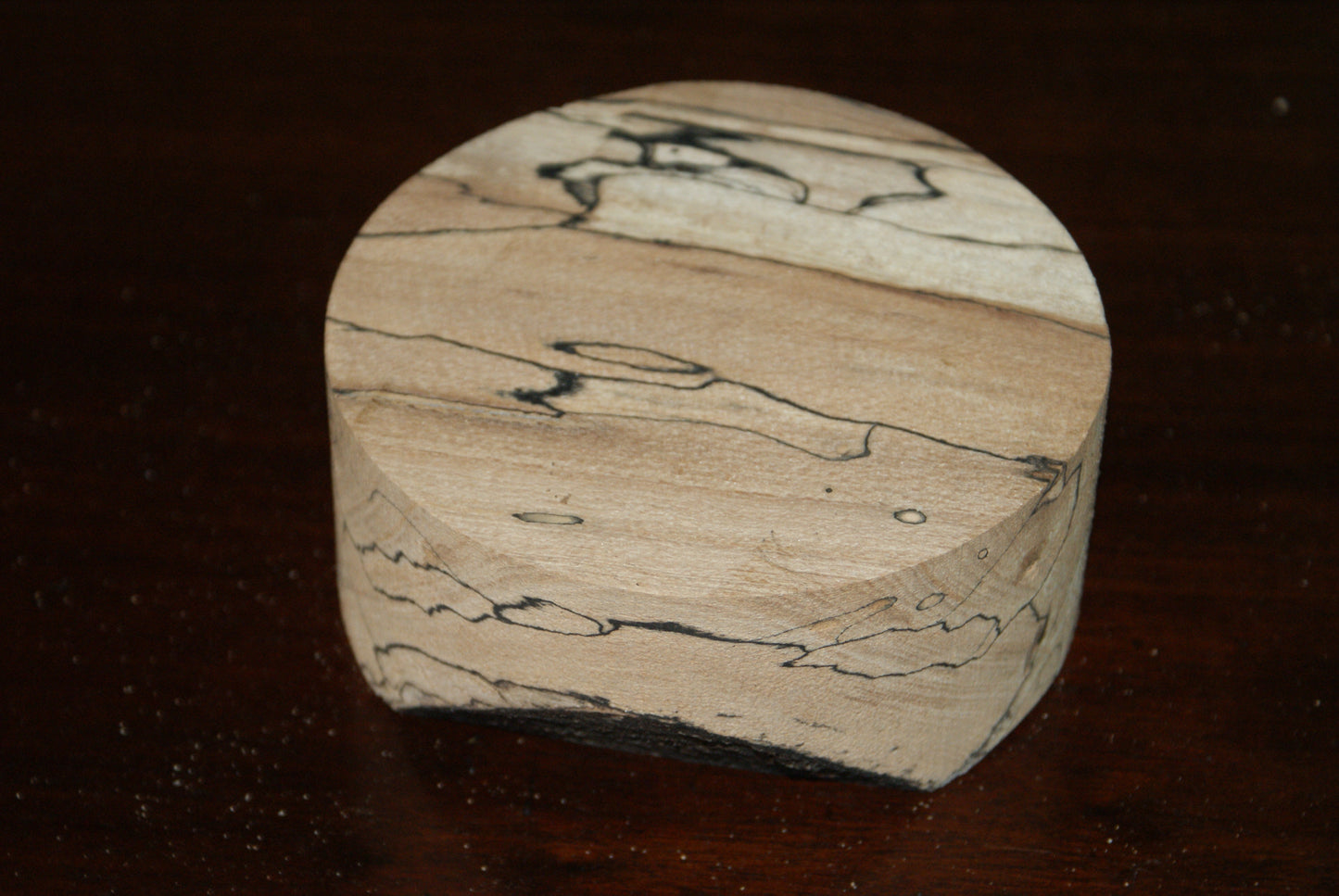 C Grade 5 x 2" spalted beech wood turning blank (123)