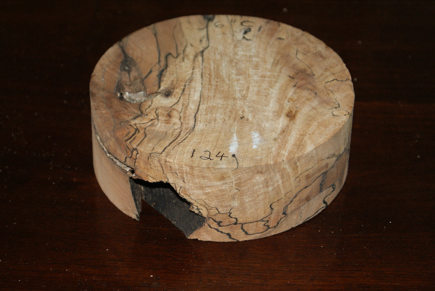 C Grade 6 x 2" spalted beech wood turning blank (124)