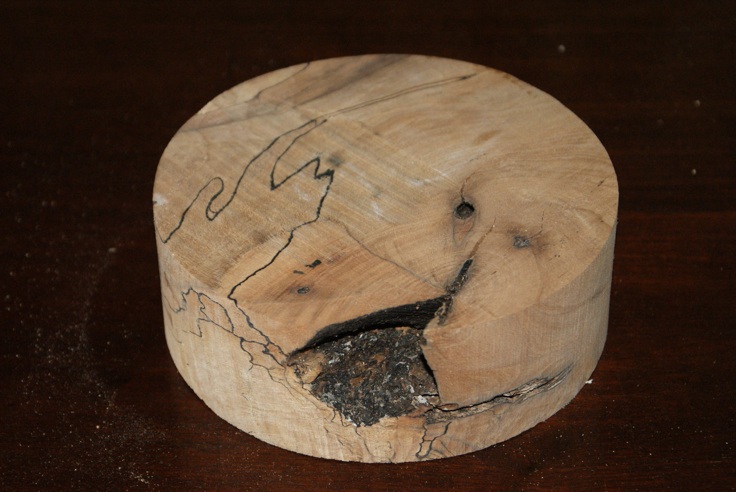 C Grade 6 x 2" spalted beech wood turning blank (124)