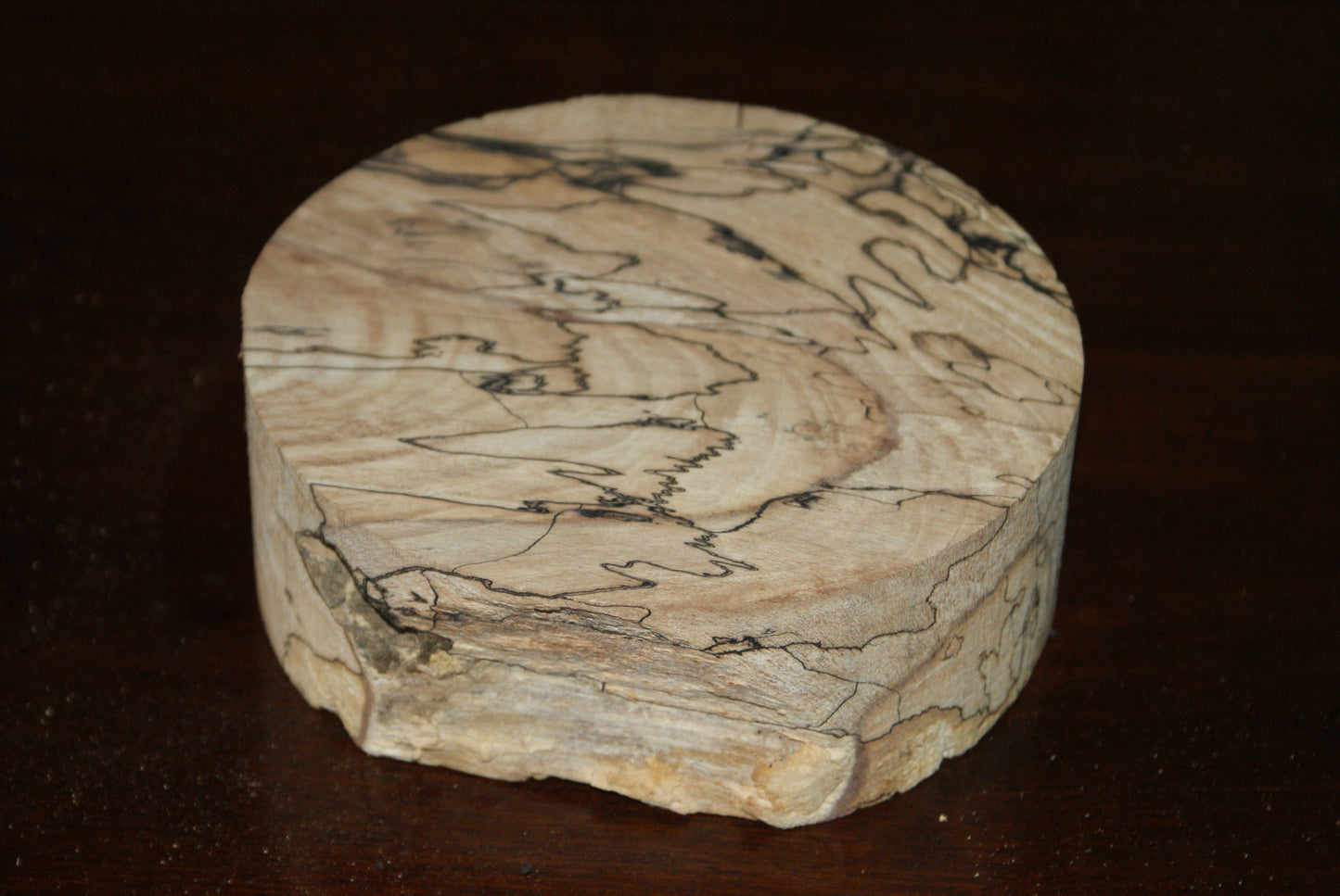 C Grade 6 x 2" spalted beech wood turning blank (125)