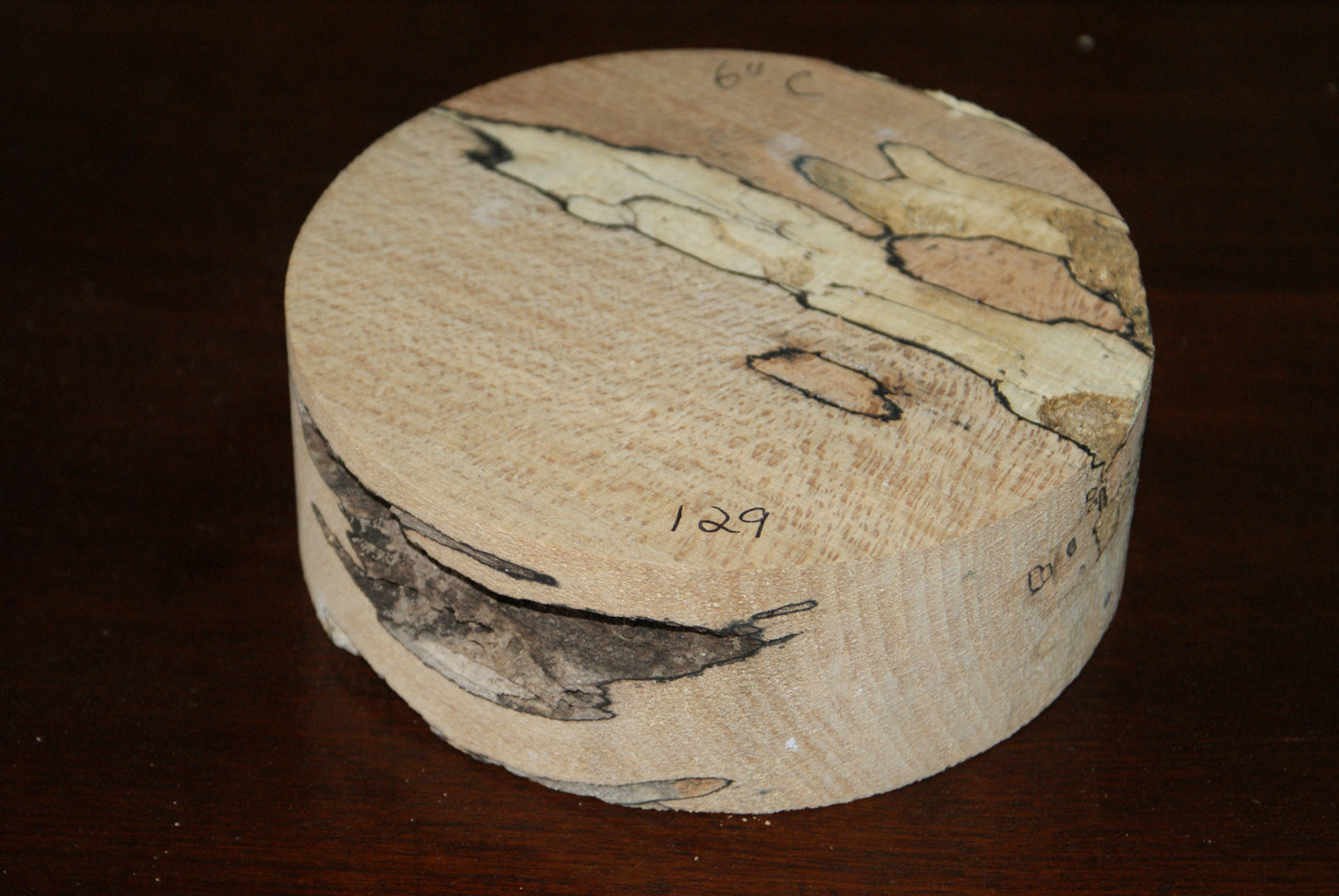 C Grade 6 x 2" spalted beech wood turning blank (129)