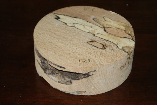 C Grade 6 x 2" spalted beech wood turning blank  (129)