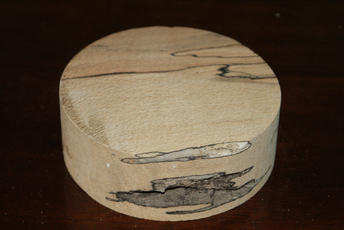 C Grade 6 x 2" spalted beech wood turning blank (129)