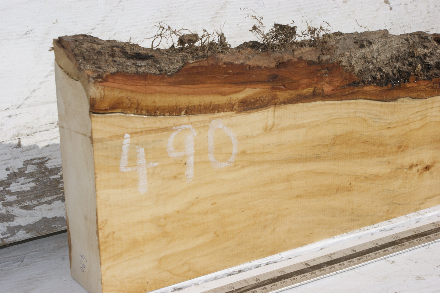 LIME MANTLE (490)
