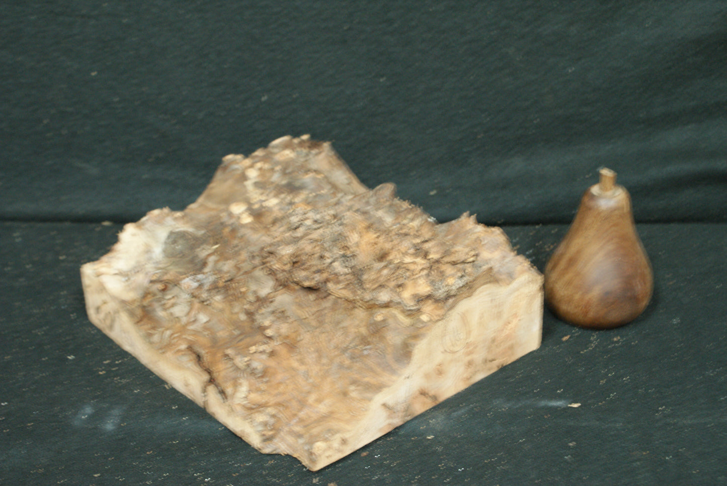 Elm Burr 8 L x 7 W x 2 1/2 D Inches (16)