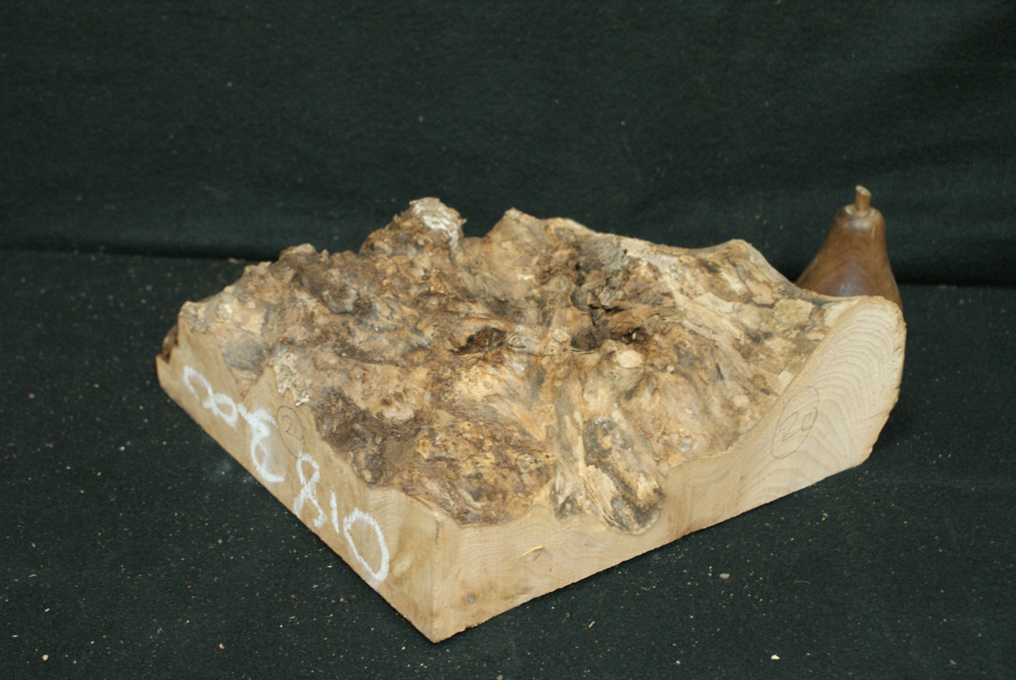 Elm Burr 9 L x 9 W x 3 1/2 D Inches (20)