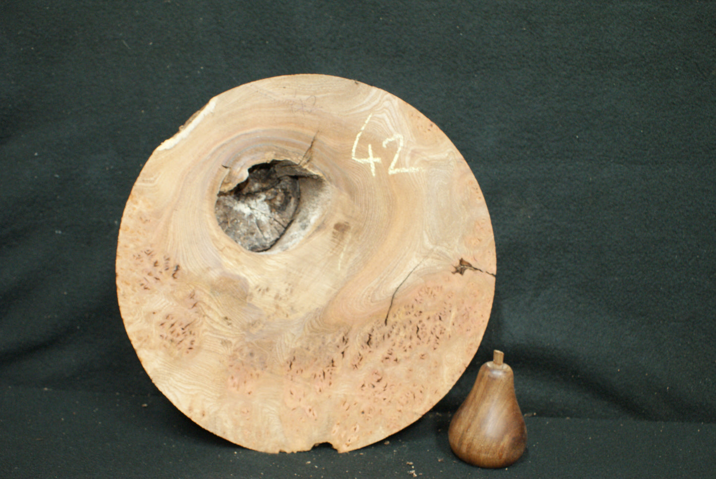 Elm Burr wood turning blanks, perfect for resin work (42)