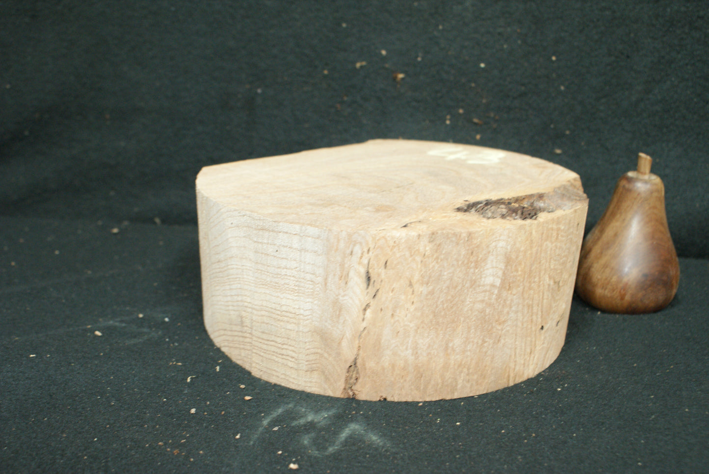 Elm Burr wood turning blanks, perfect for resin work (43)