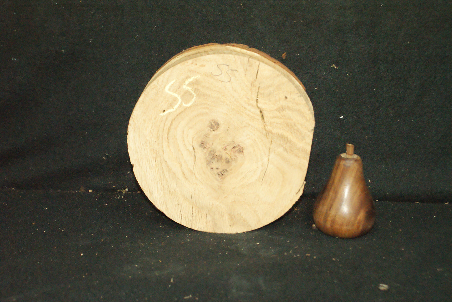 Burr Oak wood turning blank 7 L x 3 D Inches (55)