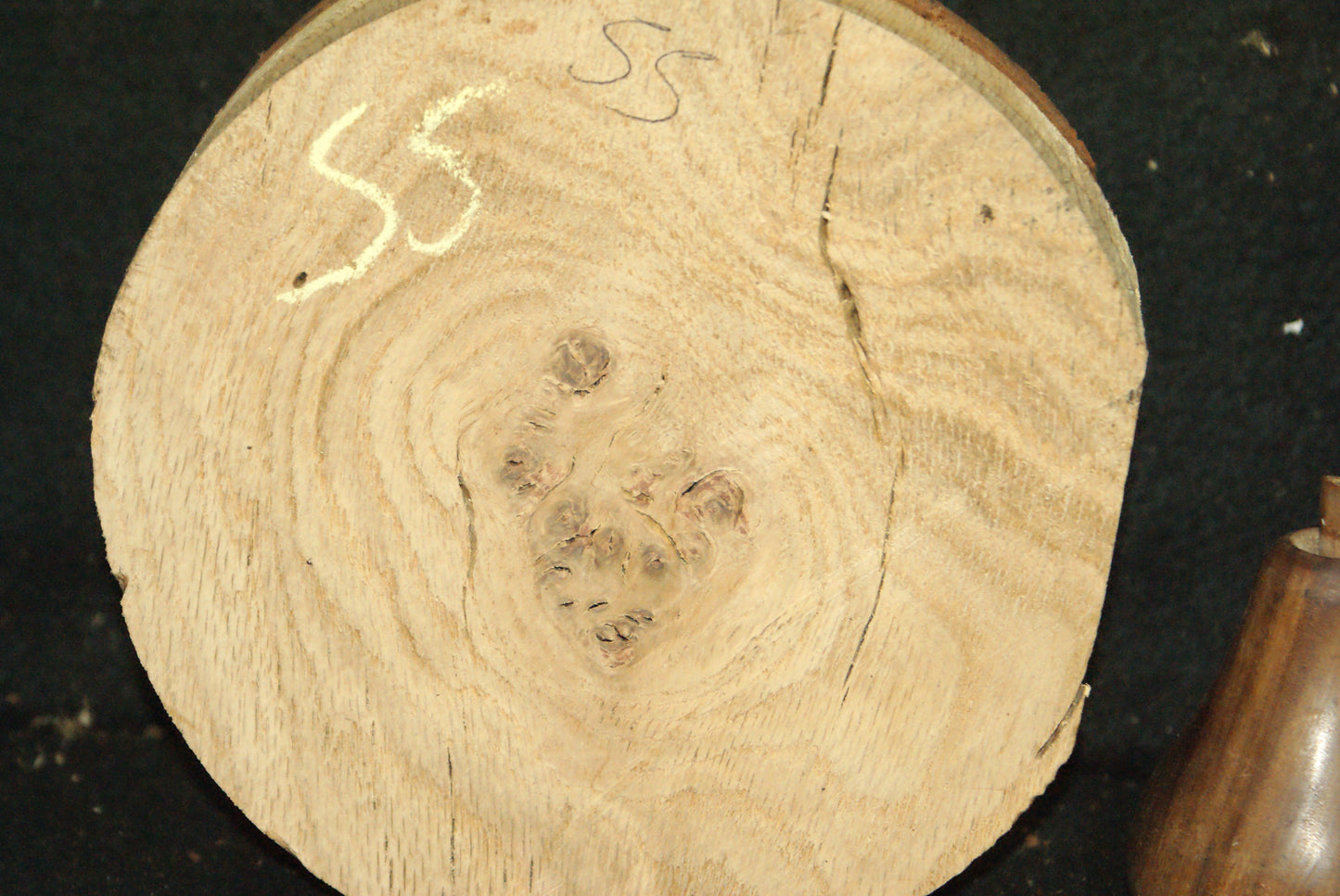 Burr Oak wood turning blank 7 L x 3 D Inches (55)