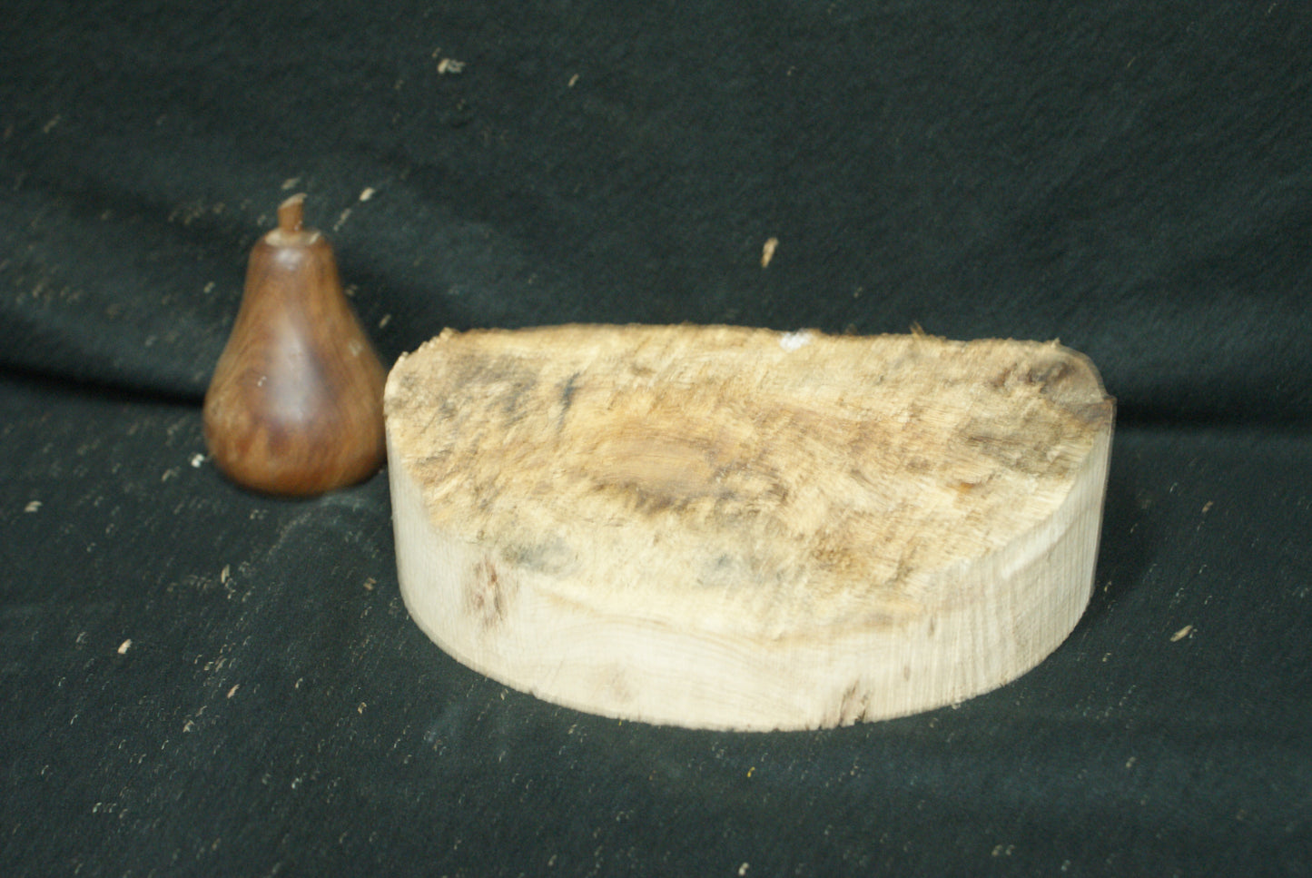 Pippy Oak wood turning blank 7 W x 2.5 D Inches (66)