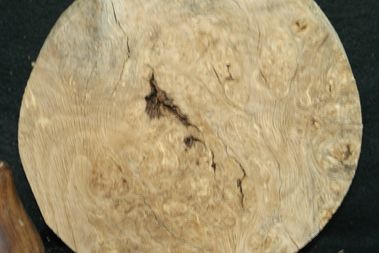Burr Oak wood turning blank 8 W x 2 D Inches (70)