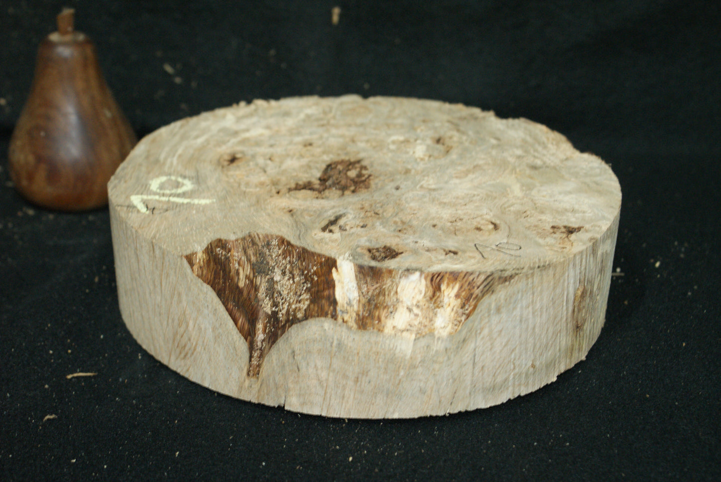 Burr Oak wood turning blank 8 W x 2 D Inches (70)