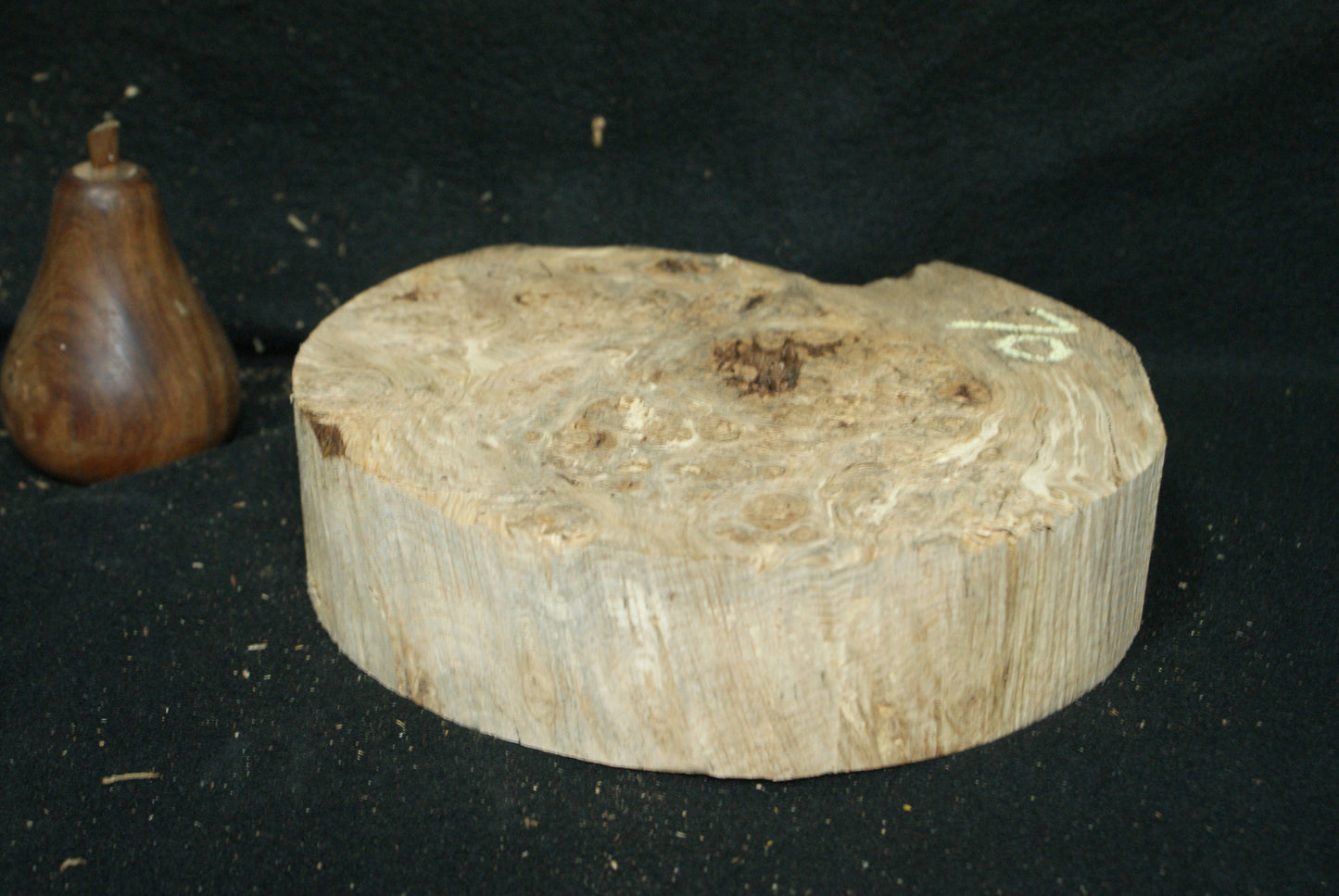 Burr Oak wood turning blank 8 W x 2 D Inches (70)