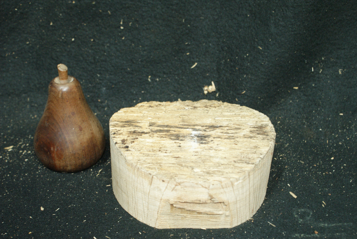 B Grade Oak wood turning blank 5 W x 2 D Inches (77)