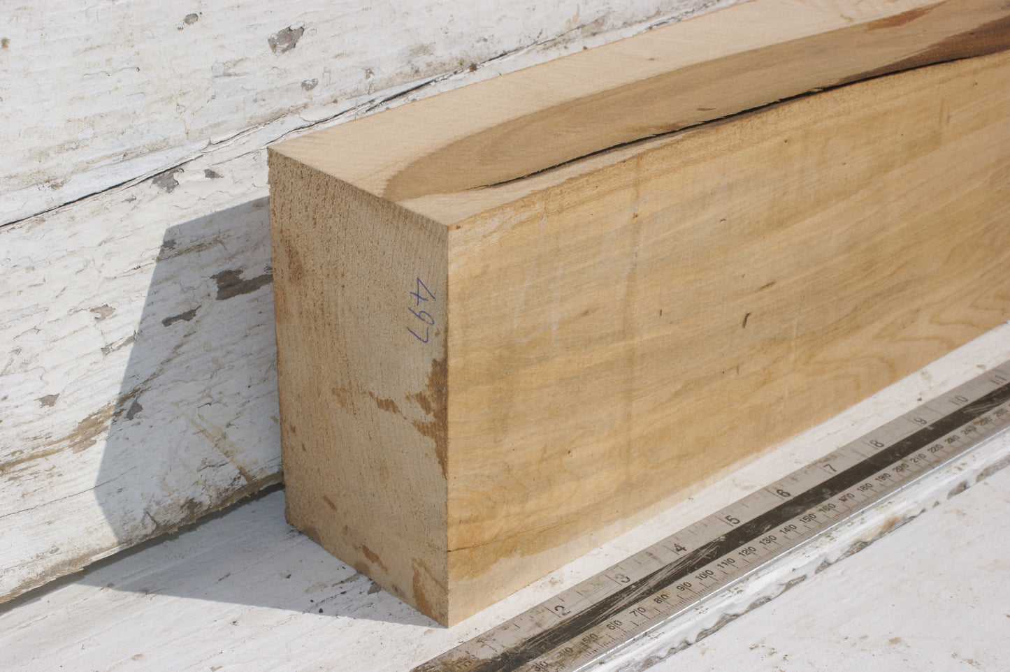 Lime suitable for wood carving (497)