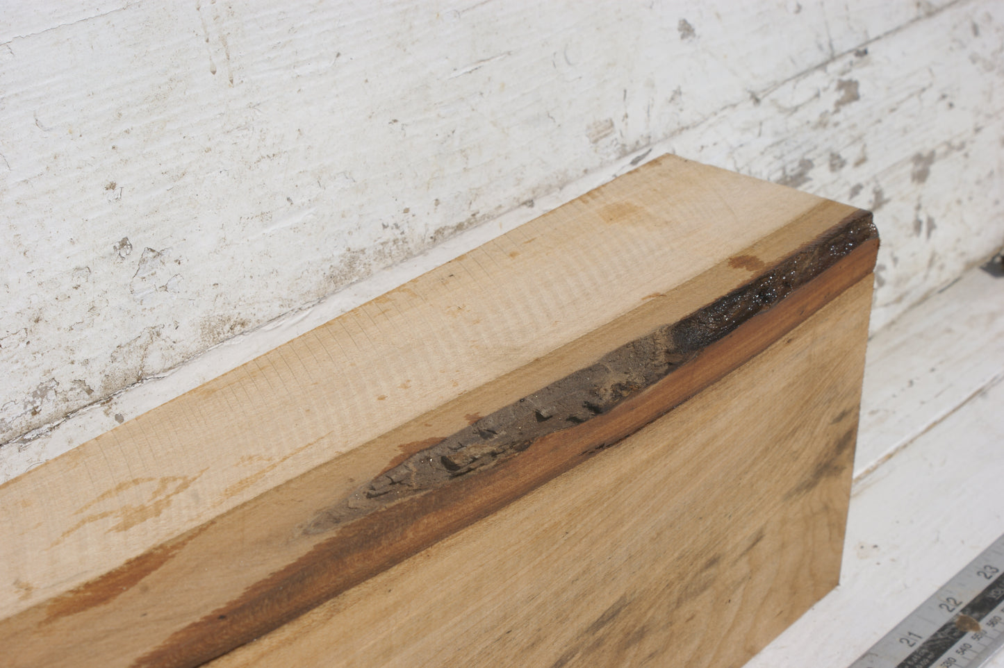 Lime suitable for wood carving (497)