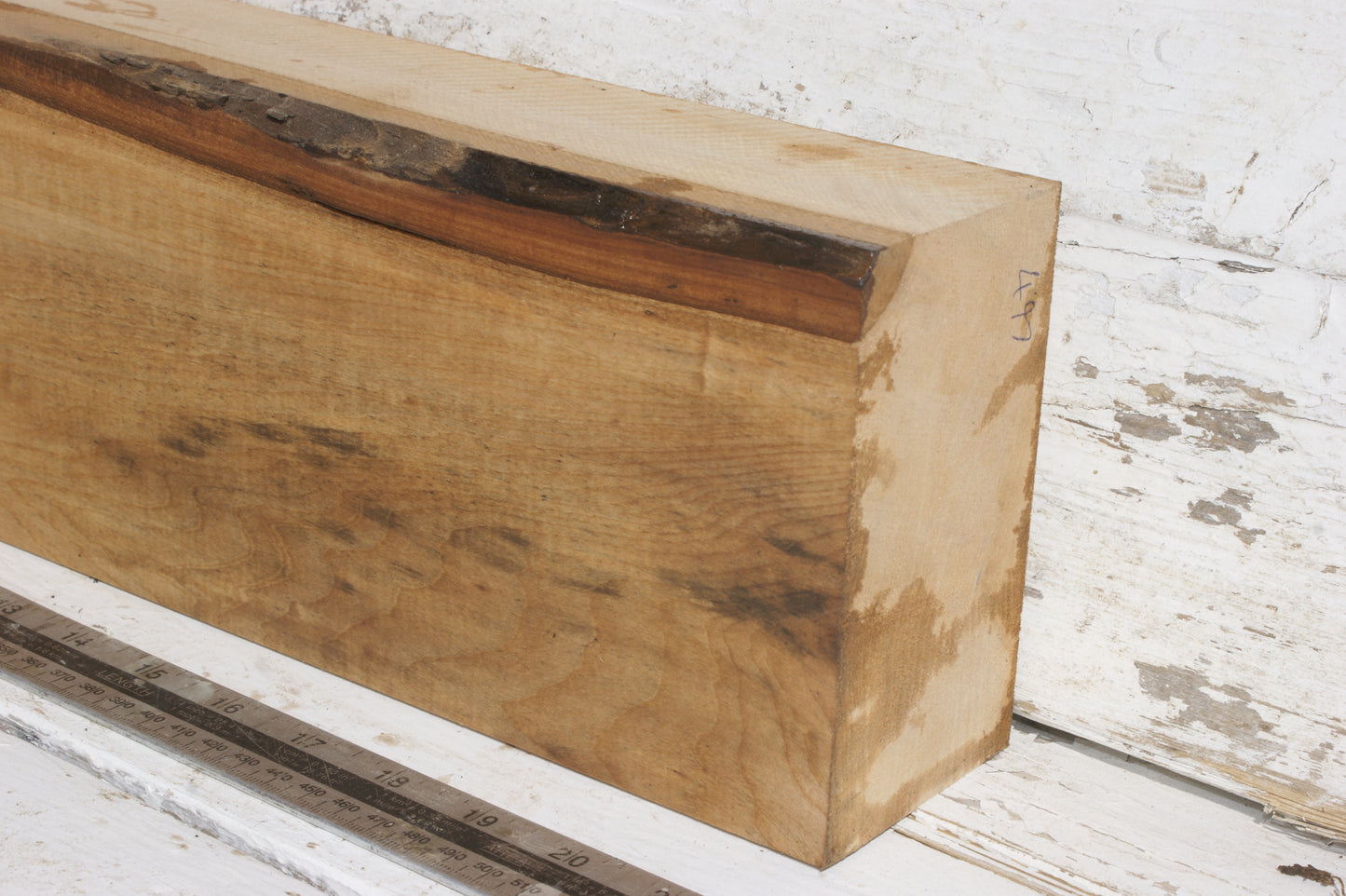 Lime suitable for wood carving (497)