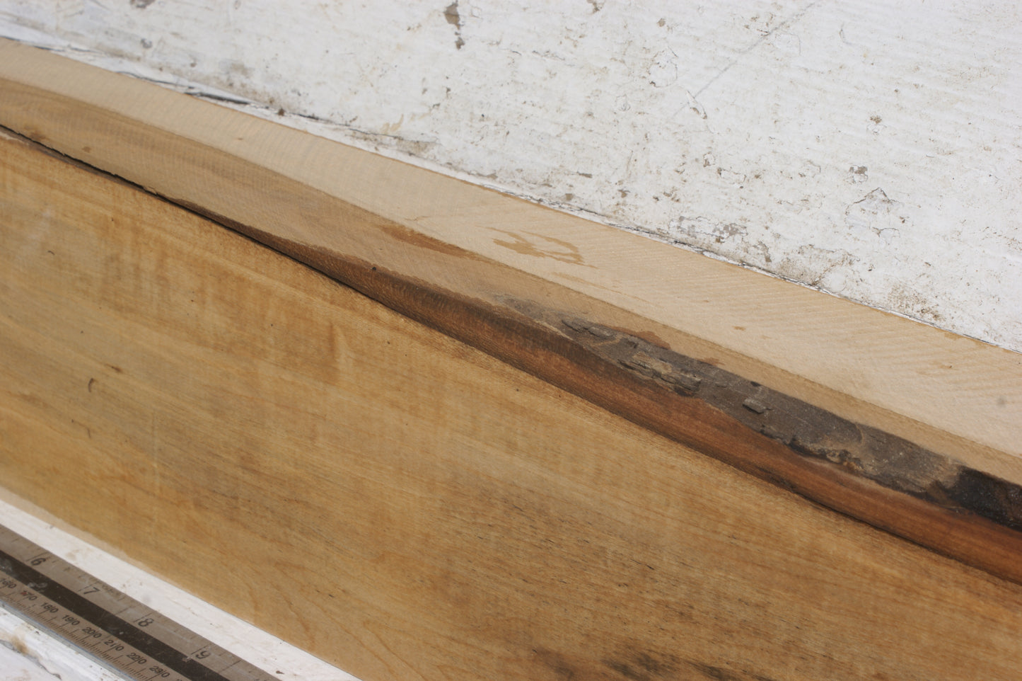 Lime suitable for wood carving (497)
