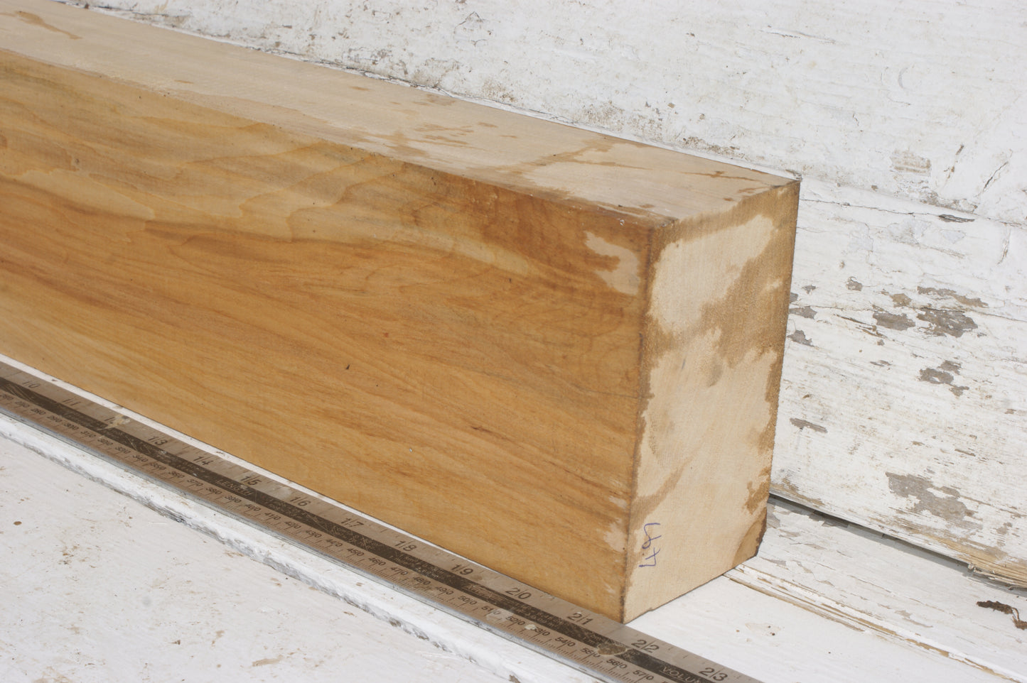 Lime suitable for wood carving (497)